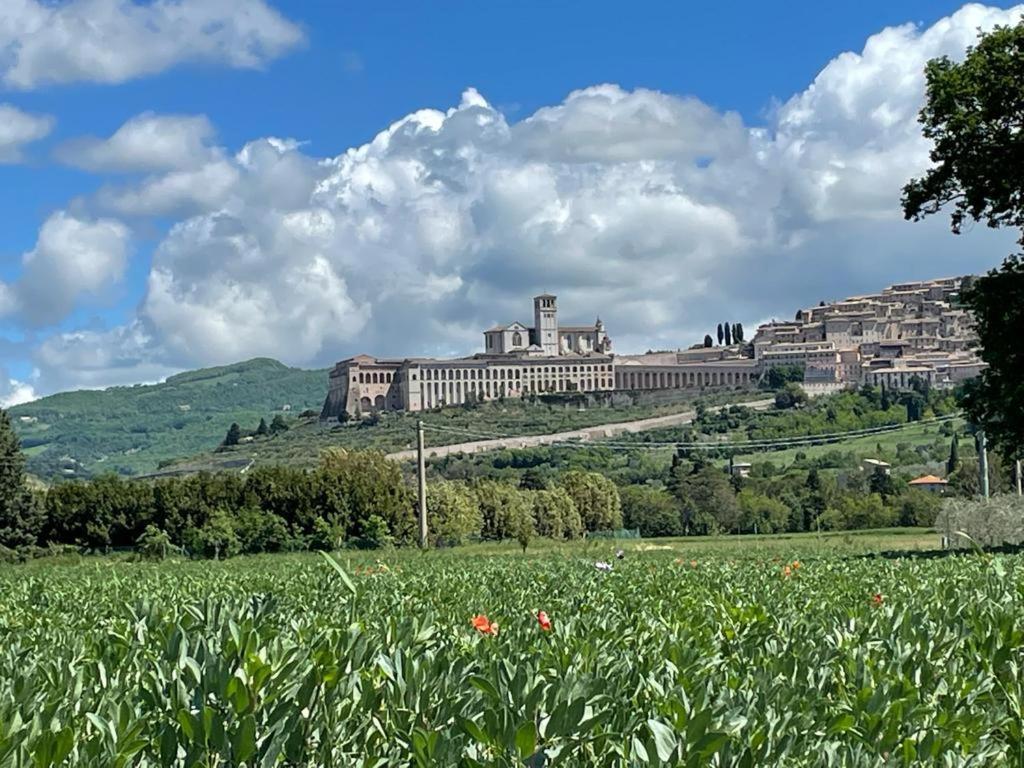 Il Fienile Di Assisi Βίλα Εξωτερικό φωτογραφία