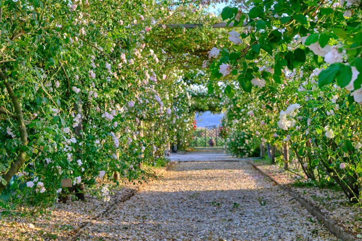 Il Fienile Di Assisi Βίλα Εξωτερικό φωτογραφία