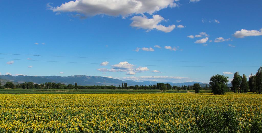 Il Fienile Di Assisi Βίλα Εξωτερικό φωτογραφία