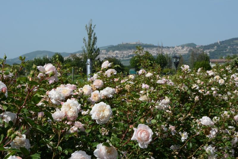 Il Fienile Di Assisi Βίλα Εξωτερικό φωτογραφία