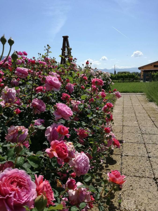 Il Fienile Di Assisi Βίλα Εξωτερικό φωτογραφία